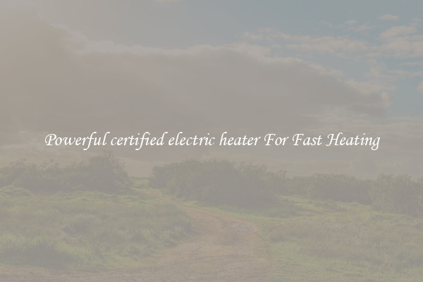 Powerful certified electric heater For Fast Heating