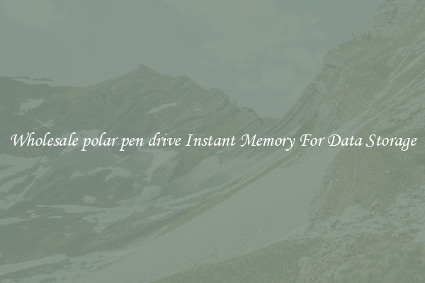 Wholesale polar pen drive Instant Memory For Data Storage