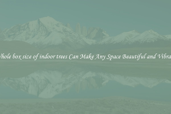 Whole box size of indoor trees Can Make Any Space Beautiful and Vibrant