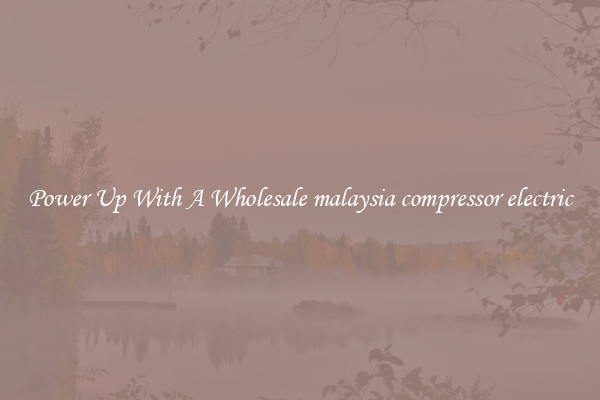 Power Up With A Wholesale malaysia compressor electric