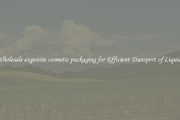 Wholesale exquisite cosmetic packaging for Efficient Transport of Liquids