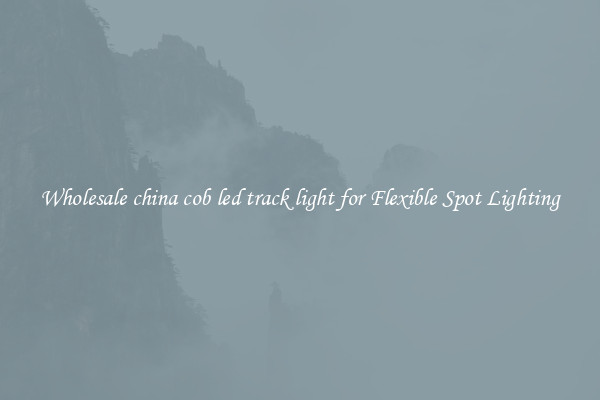 Wholesale china cob led track light for Flexible Spot Lighting