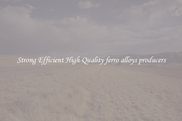 Strong Efficient High-Quality ferro alloys producers