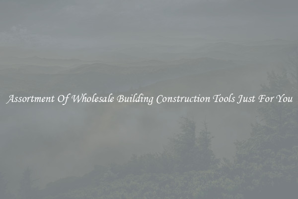 Assortment Of Wholesale Building Construction Tools Just For You