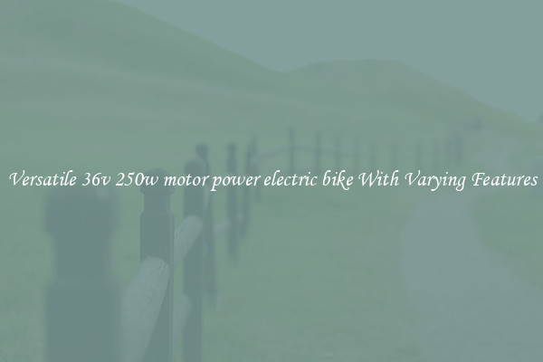 Versatile 36v 250w motor power electric bike With Varying Features