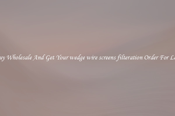Buy Wholesale And Get Your wedge wire screens filteration Order For Less