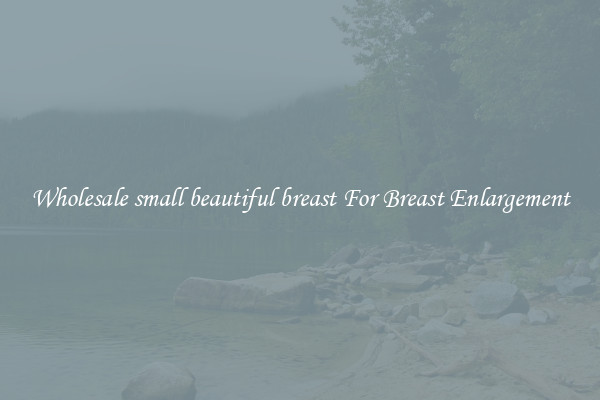 Wholesale small beautiful breast For Breast Enlargement