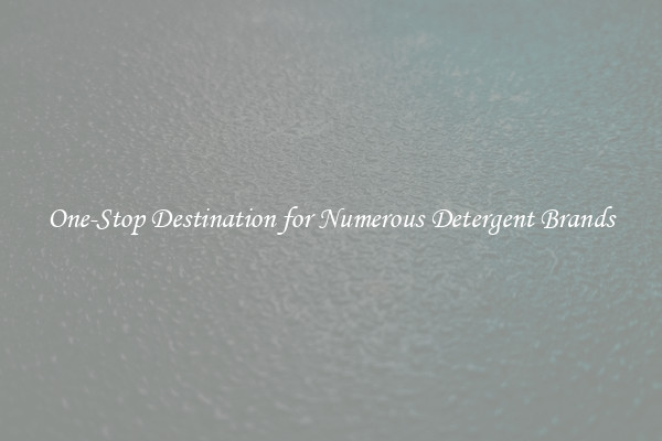 One-Stop Destination for Numerous Detergent Brands