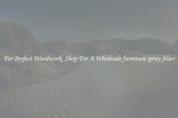 For Perfect Woodwork, Shop For A Wholesale furniture spray filter
