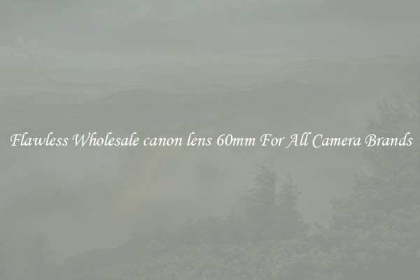 Flawless Wholesale canon lens 60mm For All Camera Brands