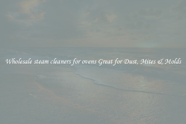 Wholesale steam cleaners for ovens Great for Dust, Mites & Molds