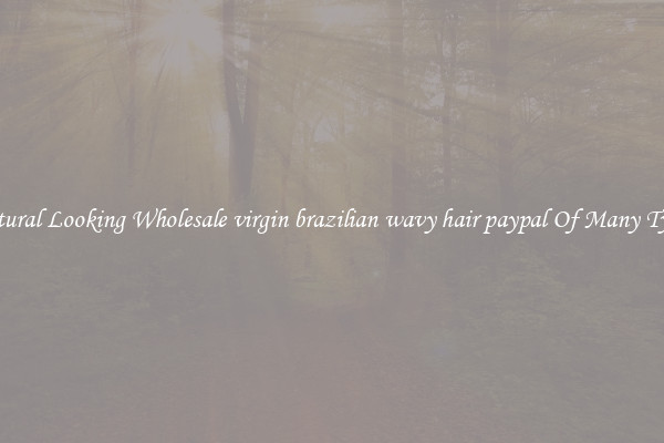 Natural Looking Wholesale virgin brazilian wavy hair paypal Of Many Types
